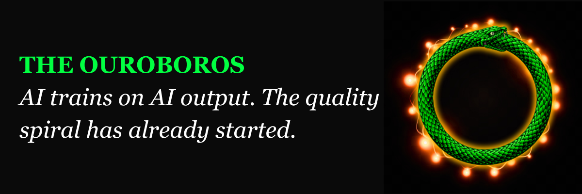 The Ouroboros